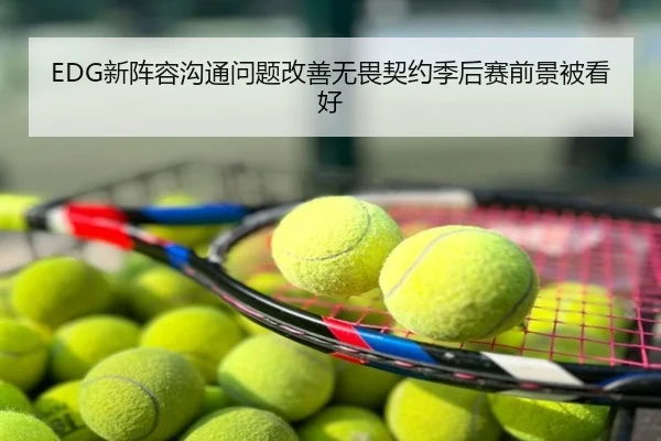 EDG新阵容沟通问题改善无畏契约季后赛前景被看好