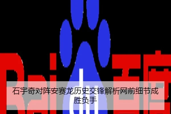 石宇奇对阵安赛龙历史交锋解析网前细节成胜负手